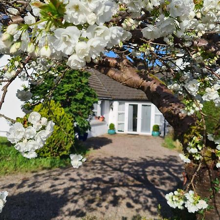 Cultra Nara Seaside Retreat 아파트 외부 사진