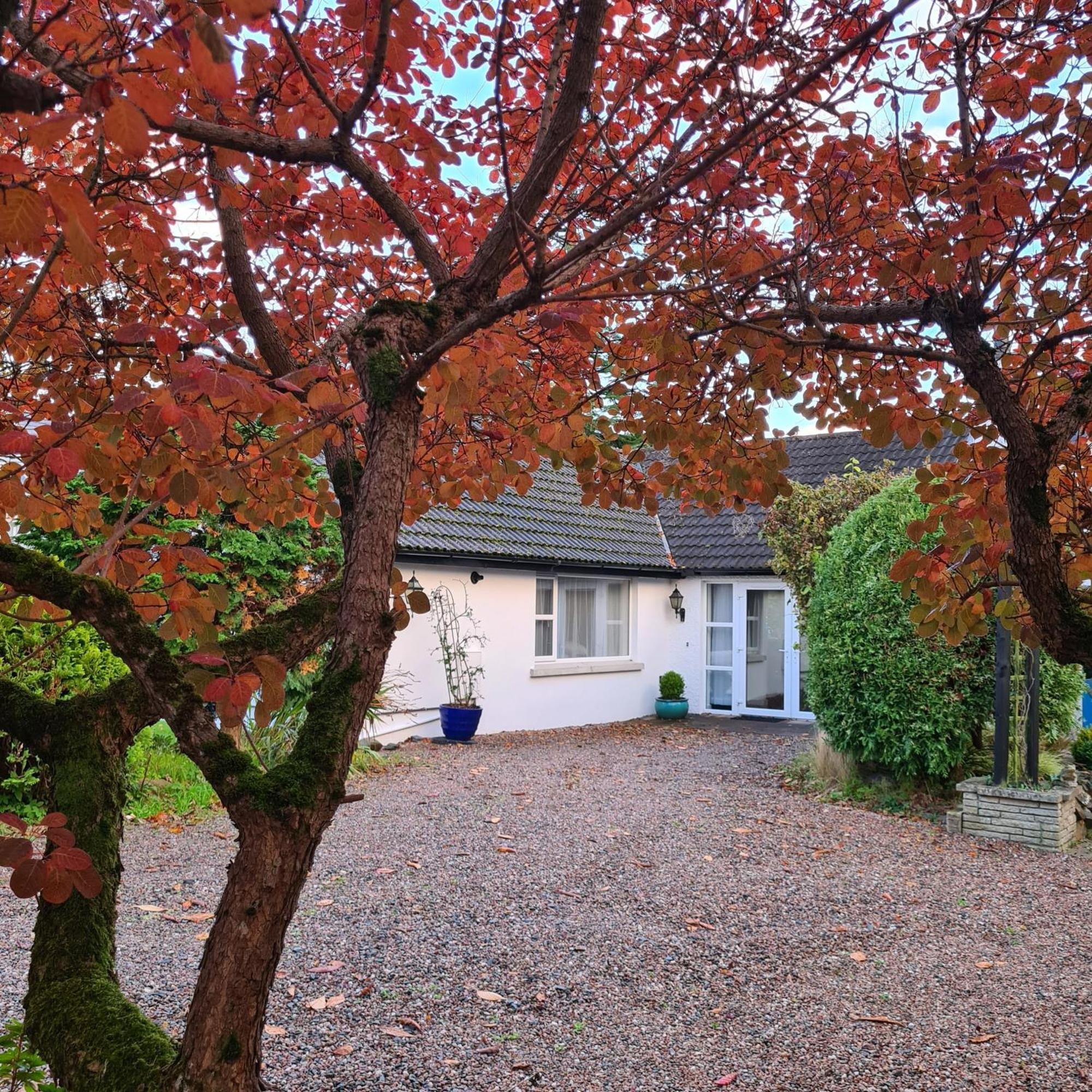 Cultra Nara Seaside Retreat 아파트 외부 사진